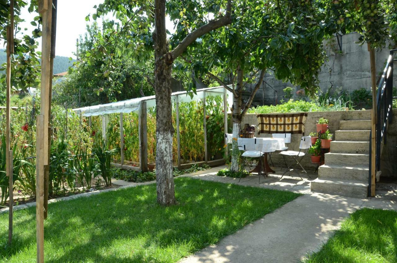 Къща За Гости Солакови ** Devin Extérieur photo
